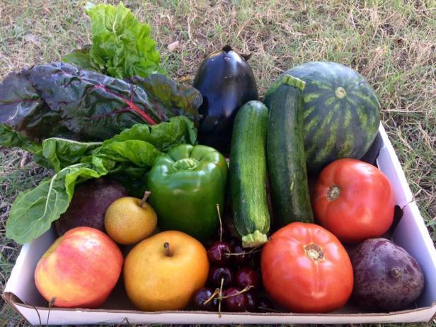 21371134_521897731487536_597287059265920310_n